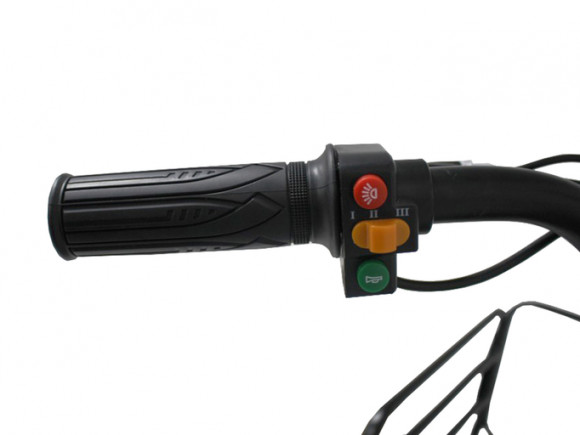 Электрический трицикл фэтбайк GreenCamel Трайк-F (R26FAT 1000W 48V 20.3Ah)