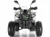 Квадроцикл WELS THUNDER 125 Lux (бензиновый 125 куб. см.) Квадроцикл WELS THUNDER 125 Lux (бензиновый 125 куб. см.)