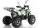 Квадроцикл WELS THUNDER 125 Lux (бензиновый 125 куб. см.) Квадроцикл WELS THUNDER 125 Lux (бензиновый 125 куб. см.)