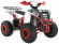 Квадроцикл WELS THUNDER EVO 125 (бензиновый 125 куб. см.) Квадроцикл WELS THUNDER EVO 125 (бензиновый 125 куб. см.)