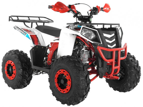 Квадроцикл WELS THUNDER EVO 125 (бензиновый 125 куб. см.) Квадроцикл WELS THUNDER EVO 125 (бензиновый 125 куб. см.)