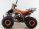 Подростковый квадроцикл Motax ATV T-Rex Super LUX 125 cc (125 кубов)