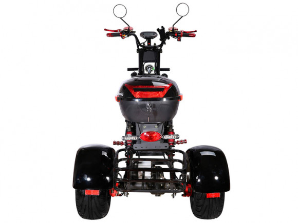 Электротрицикл SKYBOARD TRIKE BR40-3000 PRO FAST Электротрицикл SKYBOARD TRIKE BR40-3000 PRO FAST