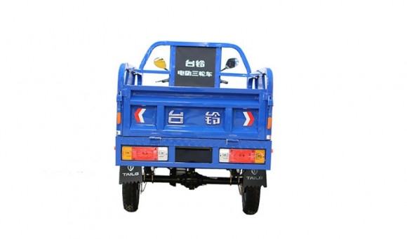 Электротрицикл TaiLG TL800DQZ-40Z original