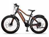 Электрофэтбайк Hoverbot FB-2 FATBIKE (2020) Электрофэтбайк Hoverbot FB-2 FATBIKE (2020)