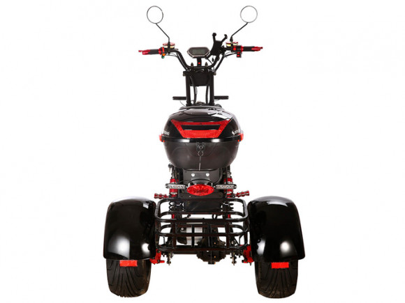 Электротрицикл SKYBOARD TRIKE BR60-3000 PRO Электротрицикл SKYBOARD TRIKE BR60-3000 PRO