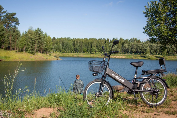 Велогибрид GREEN CITY e-ALFA GL 2019