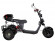Электротрицикл SKYBOARD TRIKE BR40-3000 PRO Электротрицикл SKYBOARD TRIKE BR40-3000 PRO