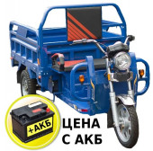 Электротрицикл TaiLG TL1000DQZ-01Z original Электротрицикл TaiLG TL1000DQZ-01Z original