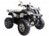 Квадроцикл WELS ATV Thunder 200 LUX (бензиновый 200 куб. см.)