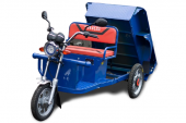 Электротрицикл TaiLG TL650DQZ-55Z original Электротрицикл TaiLG TL650DQZ-55Z original