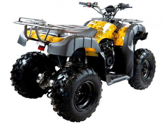 Квадроцикл MOTAX ATV Grizlik 200 LUX