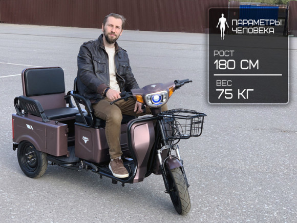 Электротрицикл Rutrike Вагон