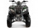 Квадроцикл бензиновый MOTAX ATV Grizlik 200 NEW Квадроцикл бензиновый MOTAX ATV Grizlik 200 NEW