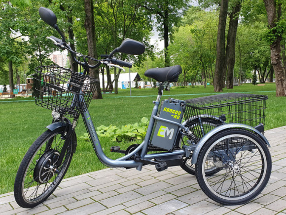 Электротрицикл E-motions Kangoo-ru 500w Pro Li-ion (18ah)