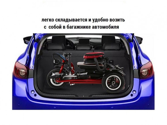 Электротрицикл TRION Shturman DUAL