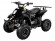 Электрический квадроцикл ATV Classic 6E 600W (600 ватт) Электрический квадроцикл ATV Classic 6E 600W (600 ватт)
