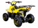 Электрический квадроцикл ATV Classic 6E 600W (600 ватт) Электрический квадроцикл ATV Classic 6E 600W (600 ватт)