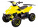 Электрический квадроцикл ATV Classic 6E 600W (600 ватт) Электрический квадроцикл ATV Classic 6E 600W (600 ватт)