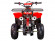 Электрический квадроцикл ATV Classic 6E 600W (600 ватт) Электрический квадроцикл ATV Classic 6E 600W (600 ватт)
