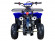 Электрический квадроцикл ATV Classic 6E 600W (600 ватт) Электрический квадроцикл ATV Classic 6E 600W (600 ватт)