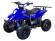 Электрический квадроцикл ATV Classic 6E 600W (600 ватт) Электрический квадроцикл ATV Classic 6E 600W (600 ватт)