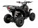 Электрический квадроцикл ATV Classic 6E 600W (600 ватт) Электрический квадроцикл ATV Classic 6E 600W (600 ватт)