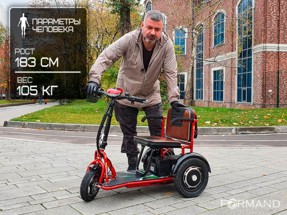 Электротрицикл TRION Navigator DUAL Электротрицикл TRION Navigator DUAL