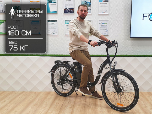 Электровелосипед Elbike Galant Big VIP 13