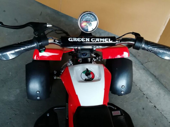 Электроквадроцикл GreenCamel Гоби K100 (350 ватт)