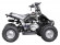 Детский квадроцикл Avantis Mirage mini 50сс 2т (50 кубов) Детский квадроцикл Avantis Mirage mini 50сс 2т (50 кубов)