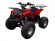 Подростковый квадроцикл Motax ATV A-54 (бензиновый 125 куб. см.) Подростковый квадроцикл Motax ATV A-54 (бензиновый 125 куб. см.)