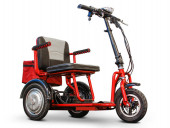 Электротрицикл E-toro Arbalet 450W 48V 20Ah