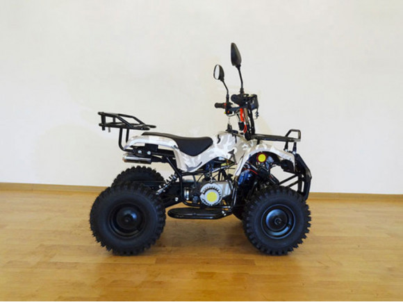 Детский бензиновый квадроцикл Active 2 (50 кубов)