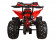 Бензиновый квадроцикл Avantis Termit 8 (125 кубов)