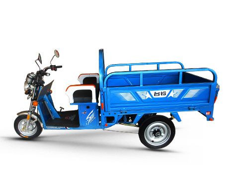 Электротрицикл TaiLG Trike-14 Электротрицикл TaiLG Trike-14