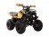 Подростковый квадроцикл Avantis Hunter 8+ (бензиновый 125 куб. см.) Подростковый квадроцикл Avantis Hunter 8+ (бензиновый 125 куб. см.)