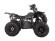 Подростковый квадроцикл Avantis Hunter 8+ (бензиновый 125 куб. см.) Подростковый квадроцикл Avantis Hunter 8+ (бензиновый 125 куб. см.)