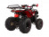 Подростковый квадроцикл Avantis Hunter 8+ (бензиновый 125 куб. см.) Подростковый квадроцикл Avantis Hunter 8+ (бензиновый 125 куб. см.)