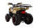 Подростковый квадроцикл Avantis Hunter 8+ (бензиновый 125 куб. см.) Подростковый квадроцикл Avantis Hunter 8+ (бензиновый 125 куб. см.)
