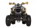 Подростковый квадроцикл Avantis Hunter 8+ (бензиновый 125 куб. см.) Подростковый квадроцикл Avantis Hunter 8+ (бензиновый 125 куб. см.)
