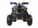 Подростковый квадроцикл Avantis Hunter 8+ (бензиновый 125 куб. см.) Подростковый квадроцикл Avantis Hunter 8+ (бензиновый 125 куб. см.)