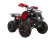 Подростковый квадроцикл Avantis Hunter 8+ (бензиновый 125 куб. см.) Подростковый квадроцикл Avantis Hunter 8+ (бензиновый 125 куб. см.)