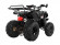 Подростковый квадроцикл Avantis Hunter 8+ (бензиновый 125 куб. см.) Подростковый квадроцикл Avantis Hunter 8+ (бензиновый 125 куб. см.)
