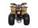 Подростковый квадроцикл Avantis Hunter 8+ (бензиновый 125 куб. см.) Подростковый квадроцикл Avantis Hunter 8+ (бензиновый 125 куб. см.)