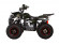 Подростковый квадроцикл Avantis Hunter 8+ (бензиновый 125 куб. см.) Подростковый квадроцикл Avantis Hunter 8+ (бензиновый 125 куб. см.)