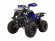Подростковый квадроцикл Avantis Hunter 8+ (бензиновый 125 куб. см.) Подростковый квадроцикл Avantis Hunter 8+ (бензиновый 125 куб. см.)