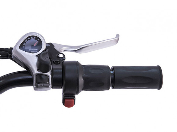 Электровелосипед Wellness CROSS RACK 750W Электровелосипед Wellness CROSS RACK 750W