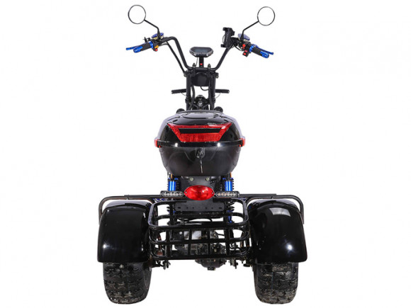 Электротрицикл SKYBOARD TRIKE BR40-3000 PRO FAST OFF-ROAD
