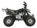 Детский квадроцикл Avantis Pilot (110 кубов) Детский квадроцикл Avantis Pilot (110 кубов)